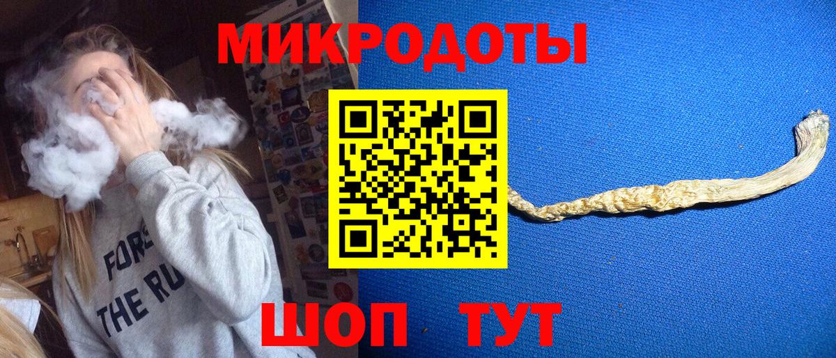 Вязники  Псилоцибиновые грибы Psilocybine cubensis  Вход с VPN 