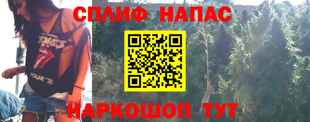 Конопля THC 21%  Бошки Шишки SATIVA & INDICA  Вязники  Марихуана ГИДРОПОН  Вход с VPN 